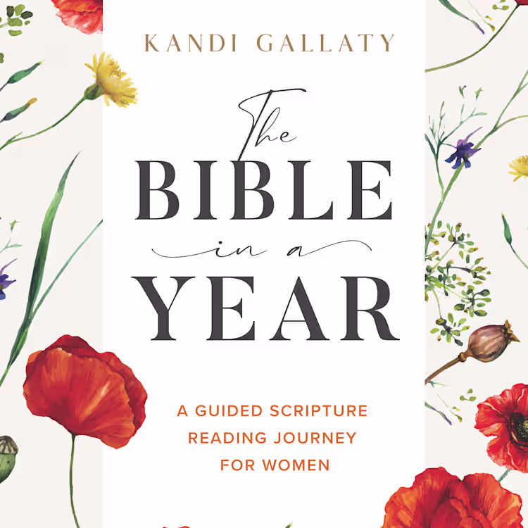 the Bible in a Year - Kandi Gallaty